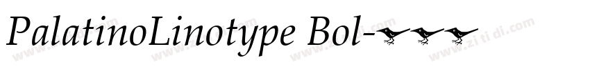 PalatinoLinotype Bol字体转换